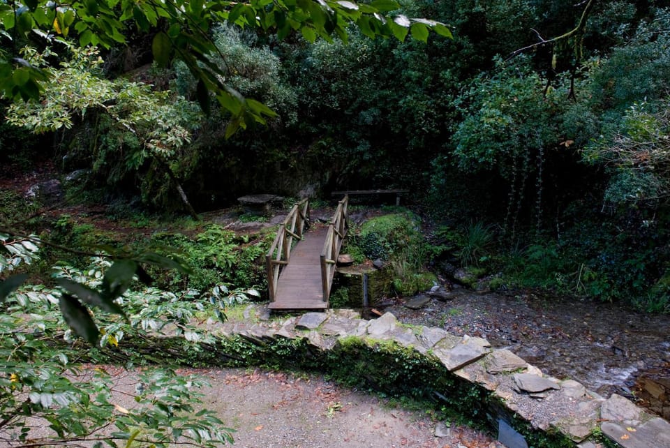 Natural landscape