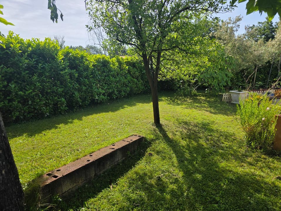 Chambres d'Hotes des Ecureuils Bed and Breakfast in Lege-Cap-Ferret