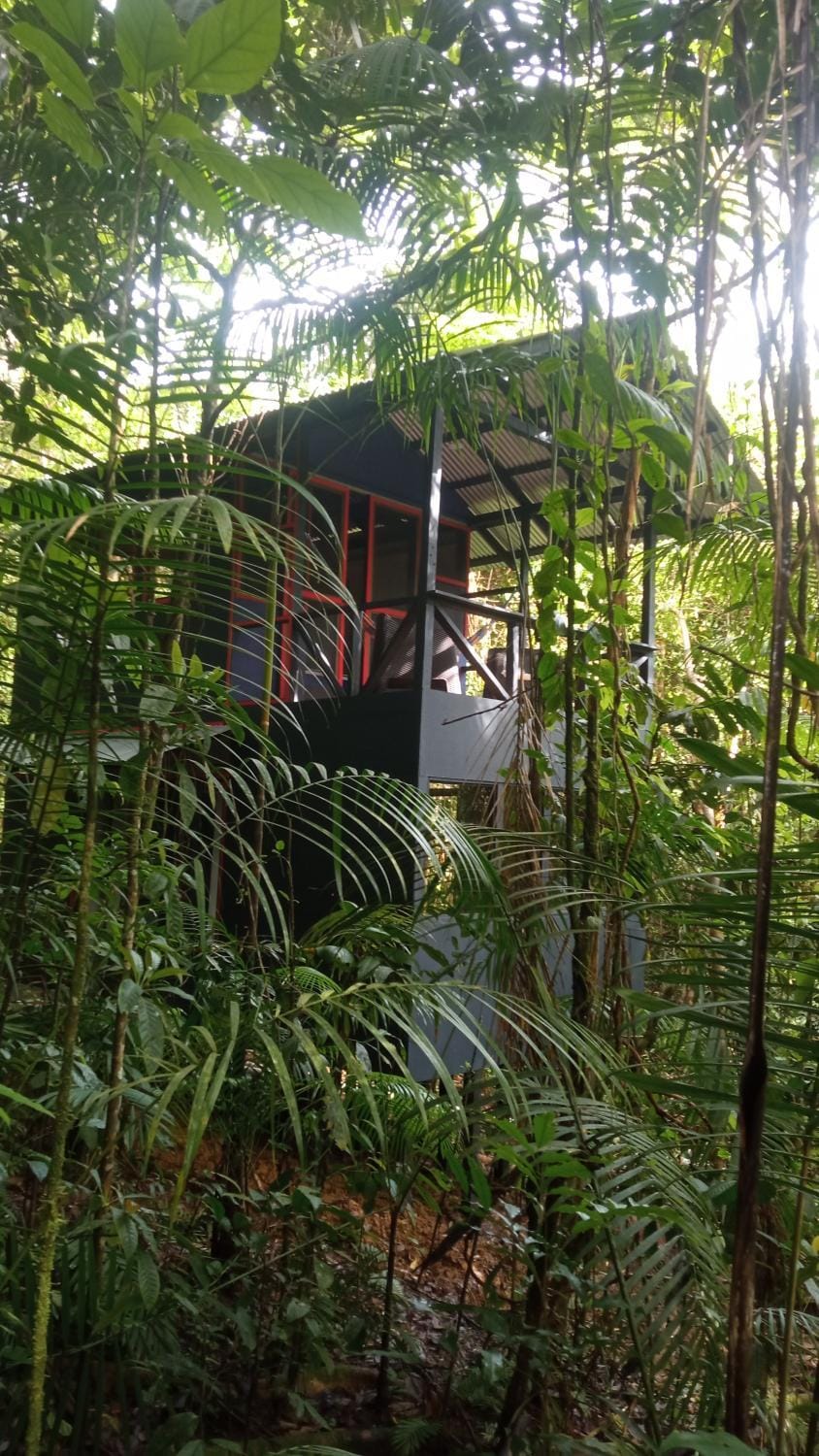 Yatama Rainforest Ecolodge Nature lodge in Heredia Province