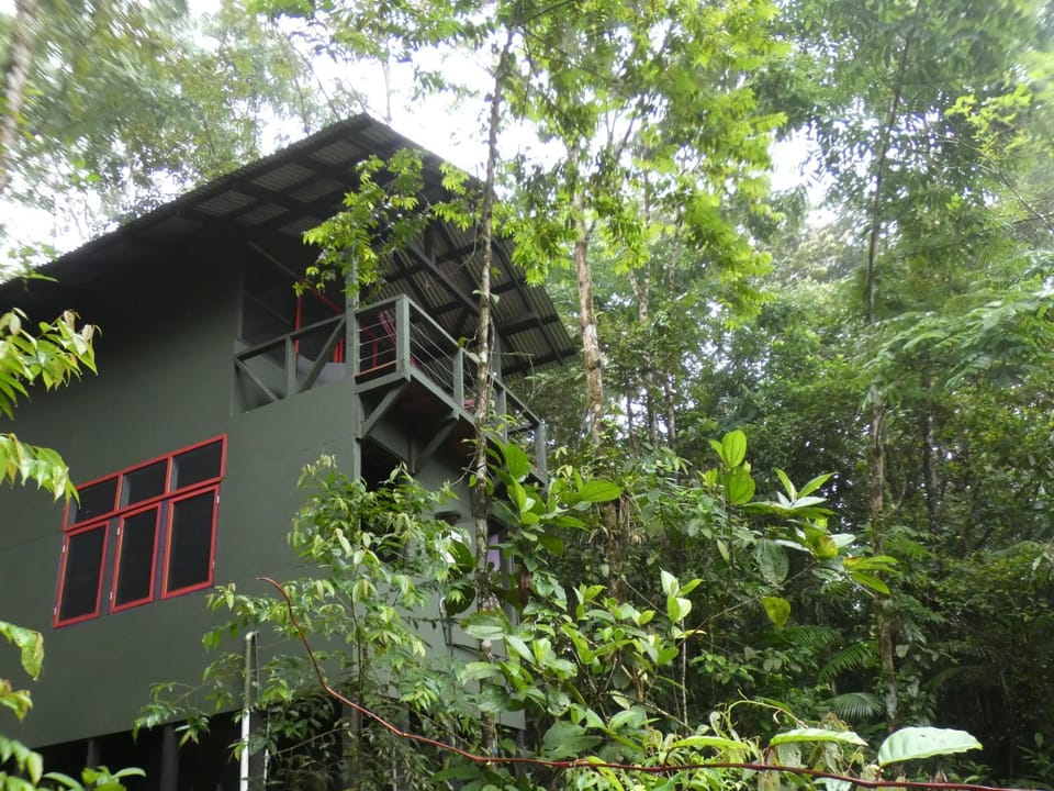 Yatama Rainforest Ecolodge Nature lodge in Heredia Province