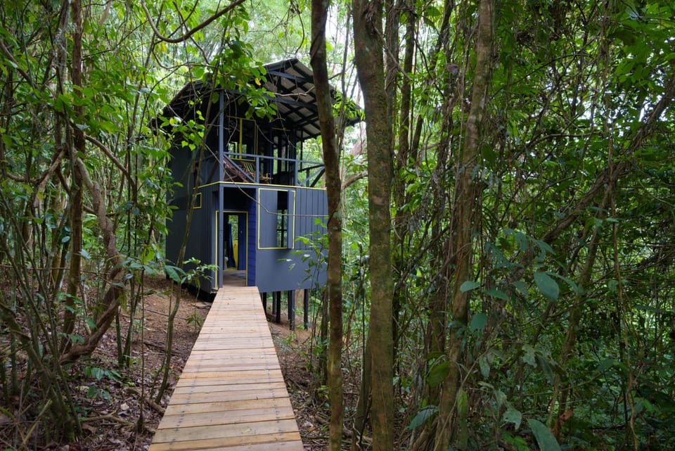 Yatama Rainforest Ecolodge Nature lodge in Heredia Province