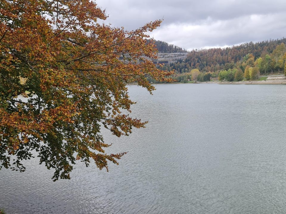Natural landscape, Lake view