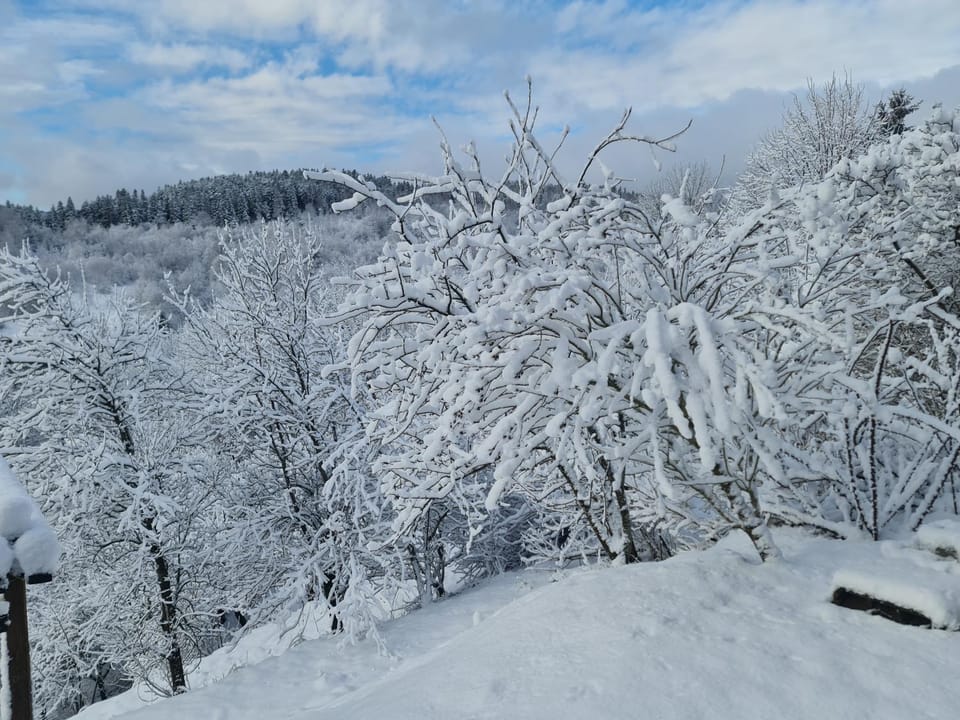 Natural landscape, Winter