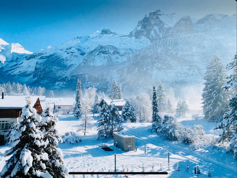 Cute & cozy oasis, private afternoon sun terrace Apartment in Canton of Valais