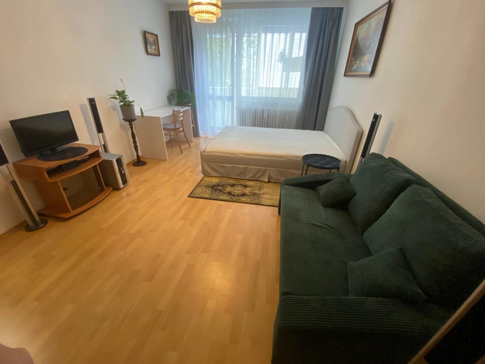 Living room, Bedroom