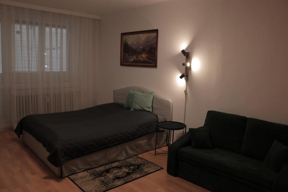 Feroom Apartment in Slovakia