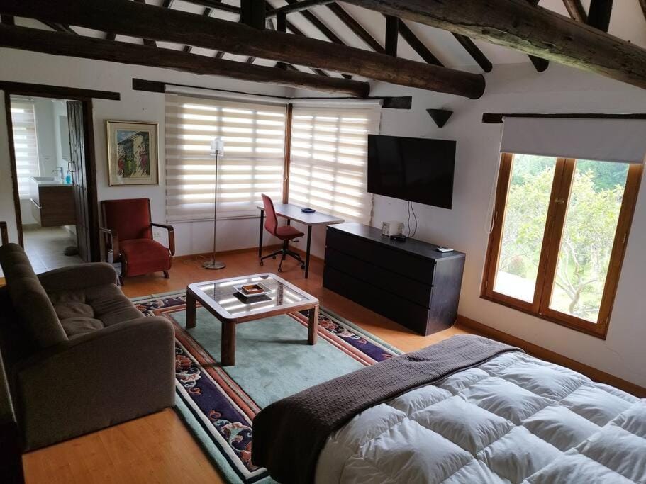 TV and multimedia, Photo of the whole room, Bedroom