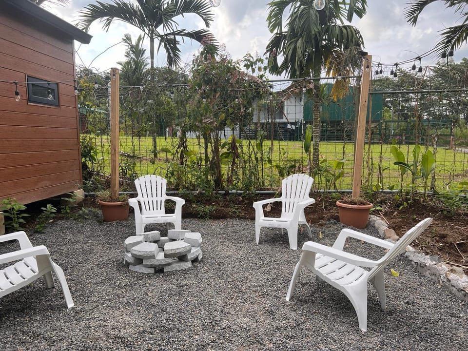 Patio, Day, Garden
