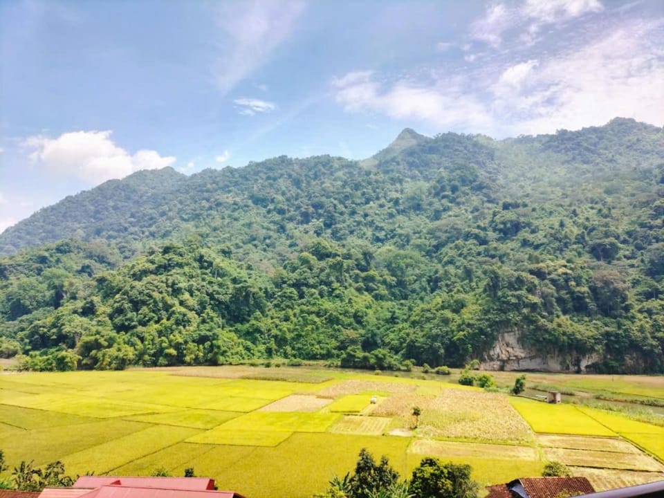Mountain view