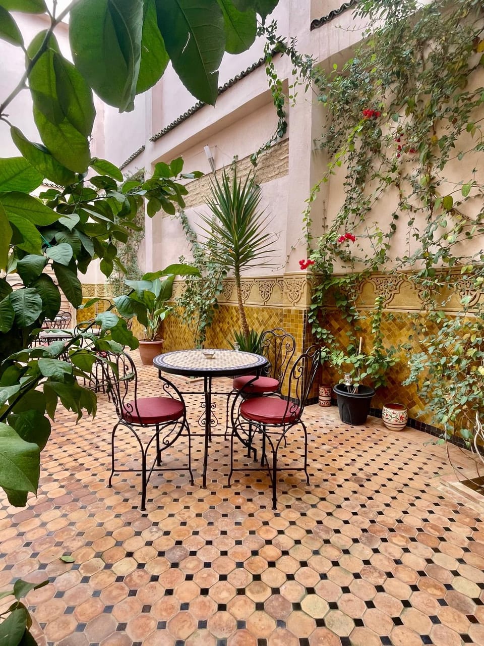 Patio, Day, Garden, Dining area, Garden view