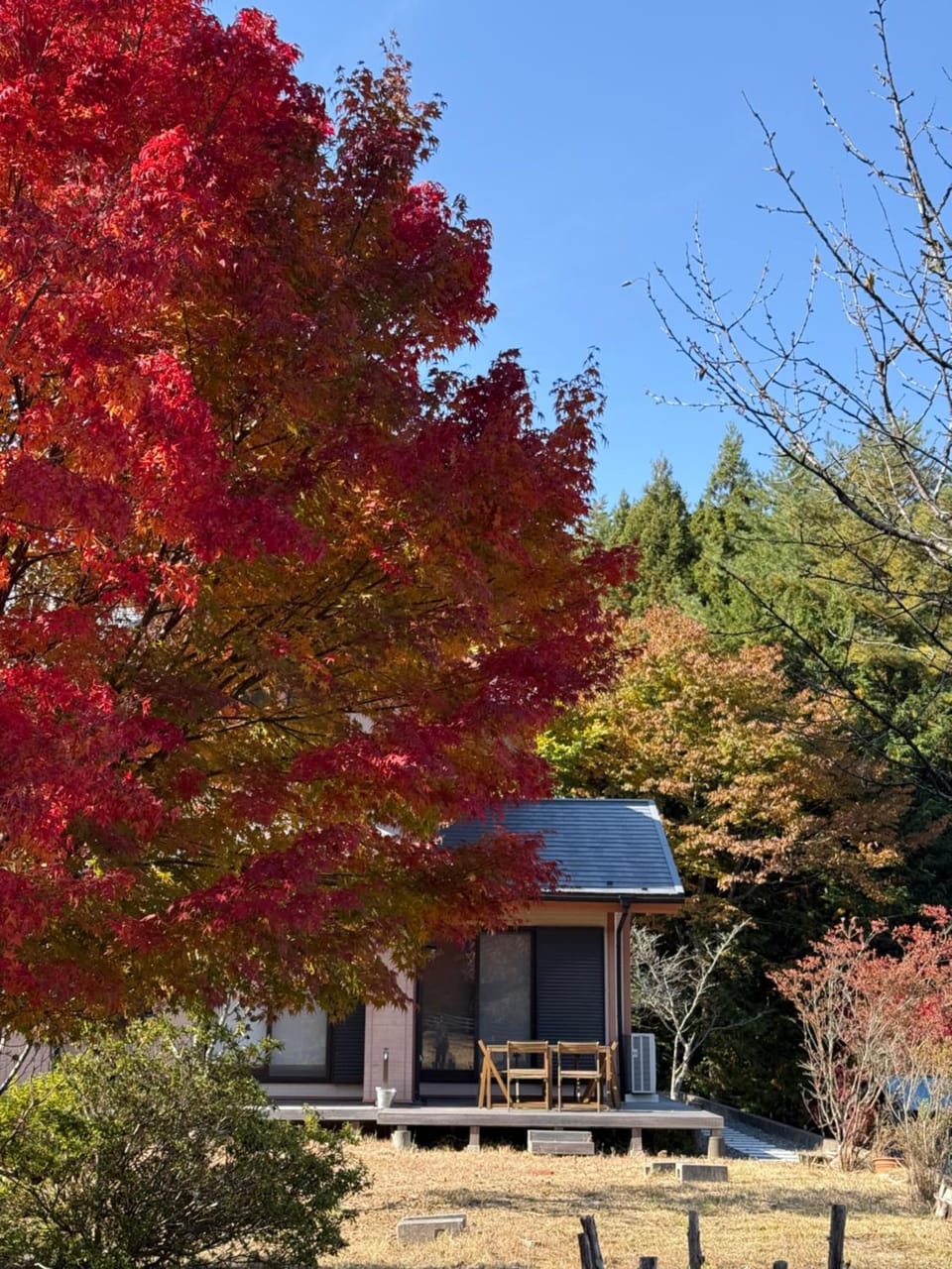 Property building, Day, Natural landscape, Garden, Autumn, Garden view