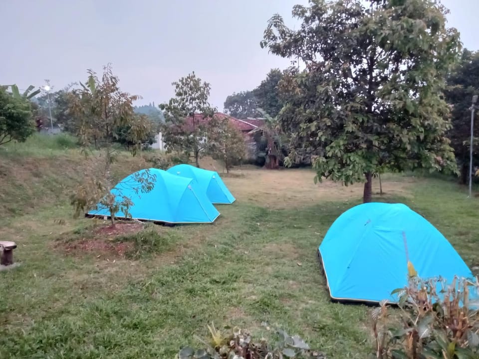Natural landscape, Garden, Garden view