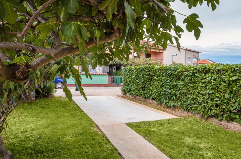 Garden, Garden view