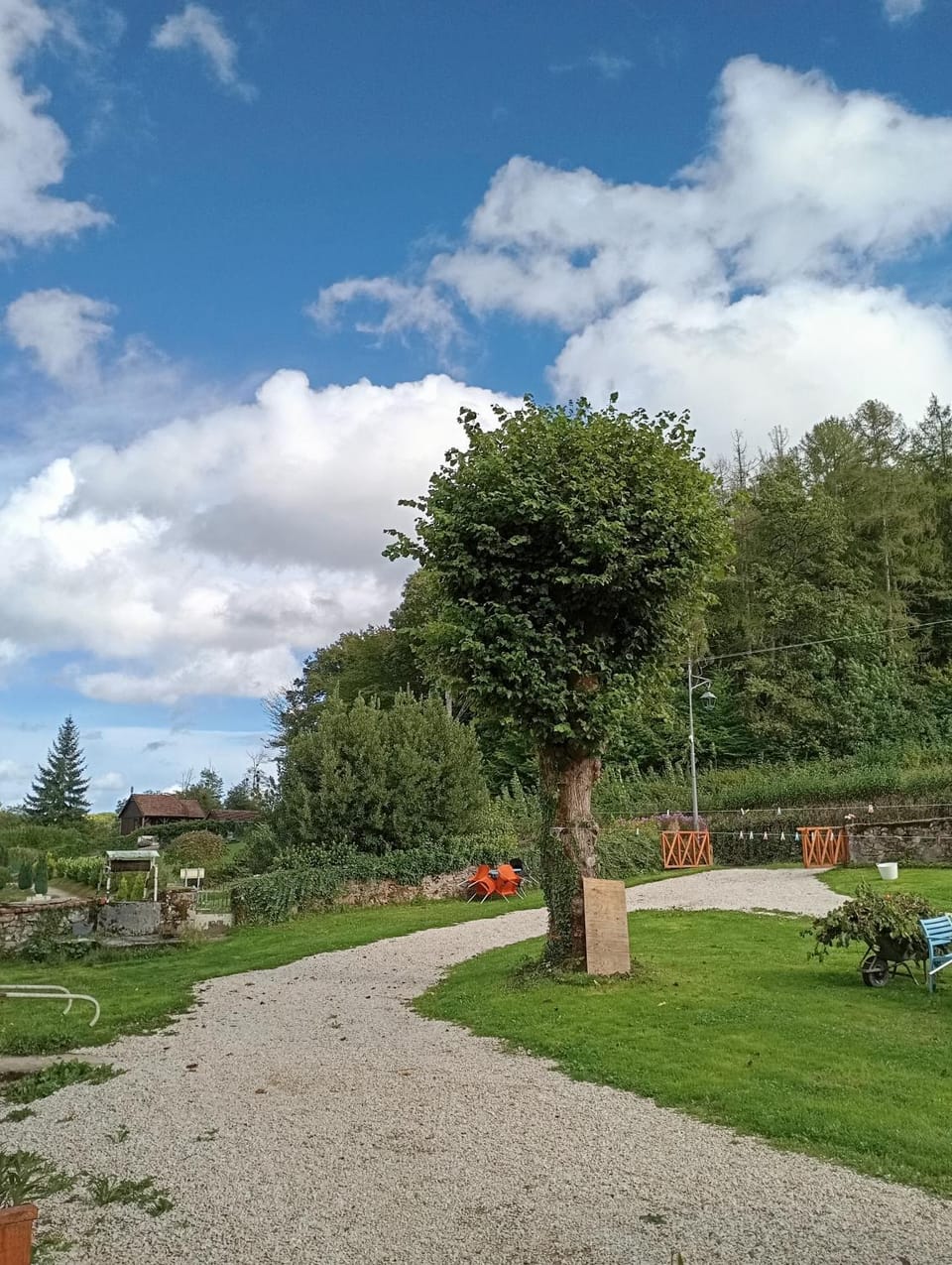 Garden view