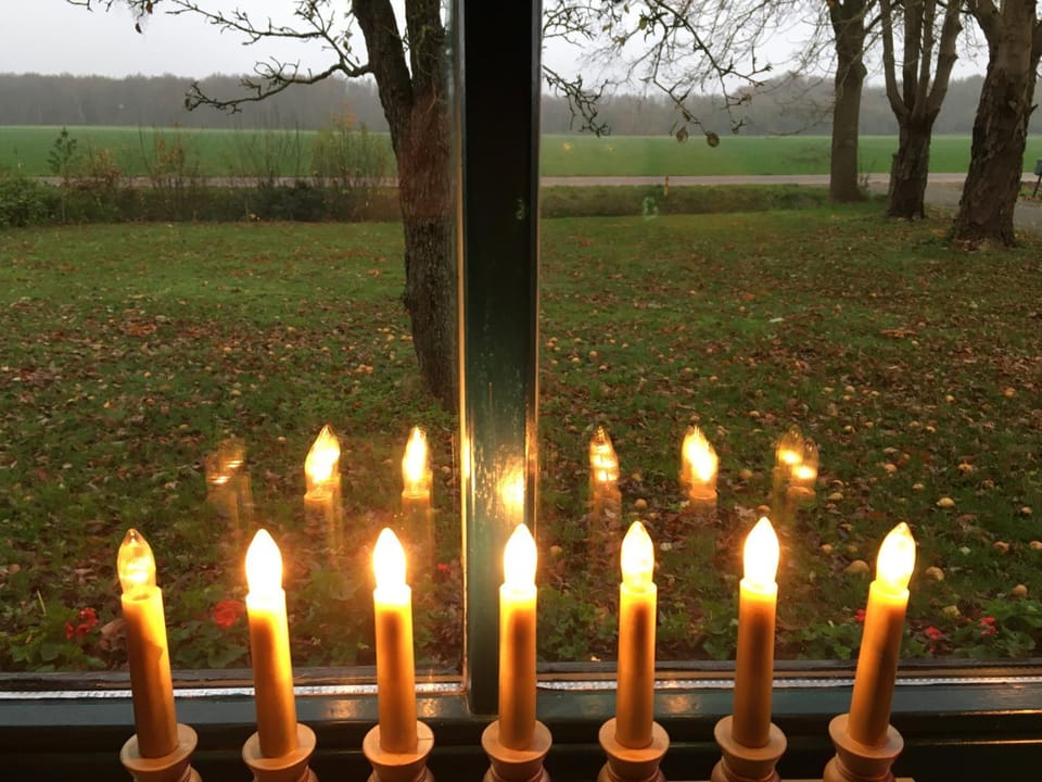 Studio in farmhouse Close to Giethoorn Bed and Breakfast in Drenthe (province)