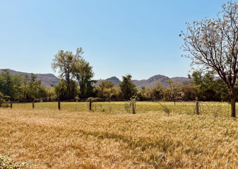 Day, Natural landscape, View (from property/room), Mountain view