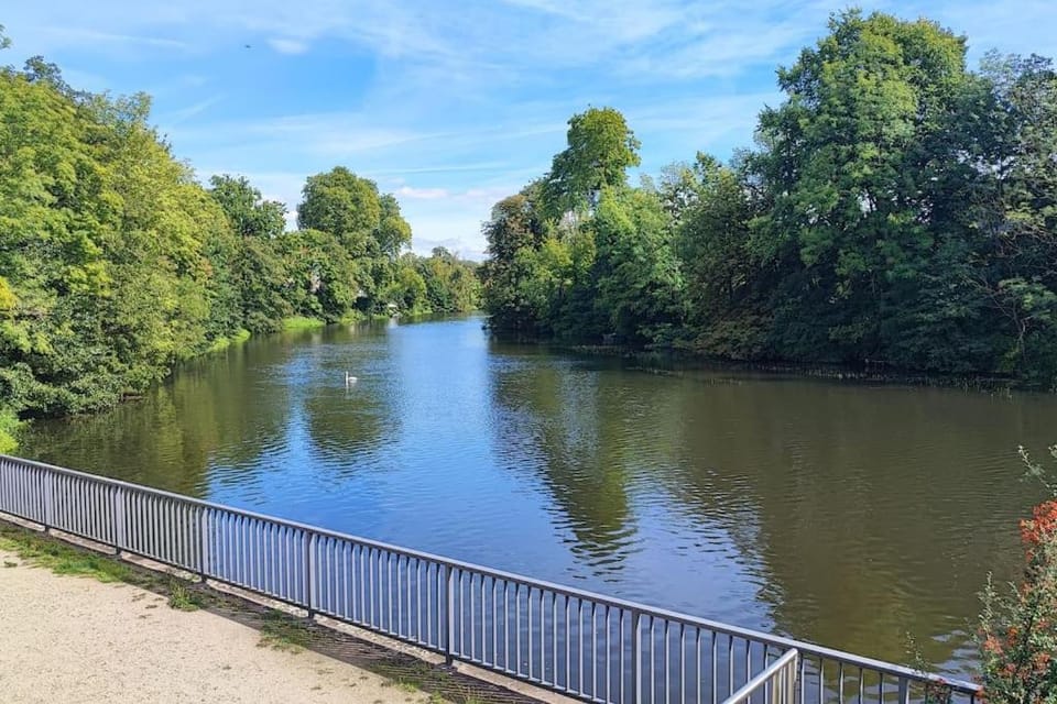 Spring, Day, Natural landscape, River view
