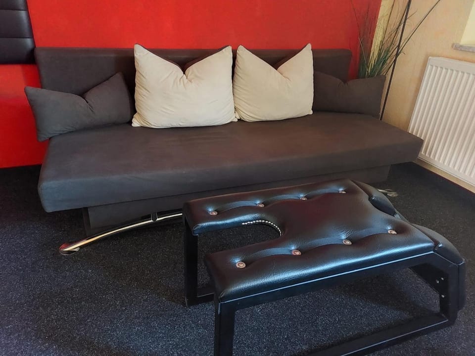 Erotische Ferienwohnung Plauen im Vogtland Apartment in Plauen
