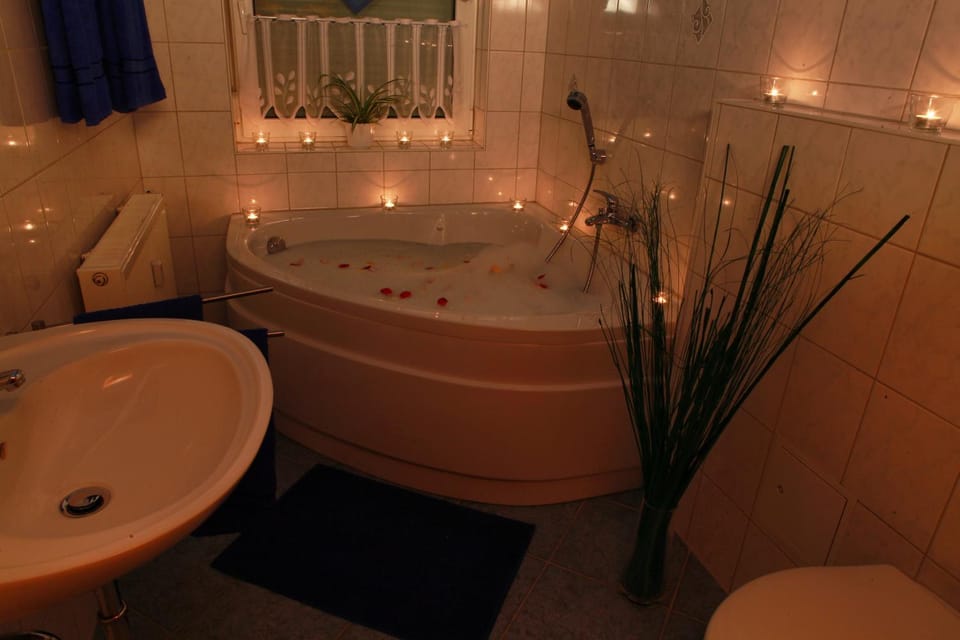 Erotische Ferienwohnung Plauen im Vogtland Apartment in Plauen