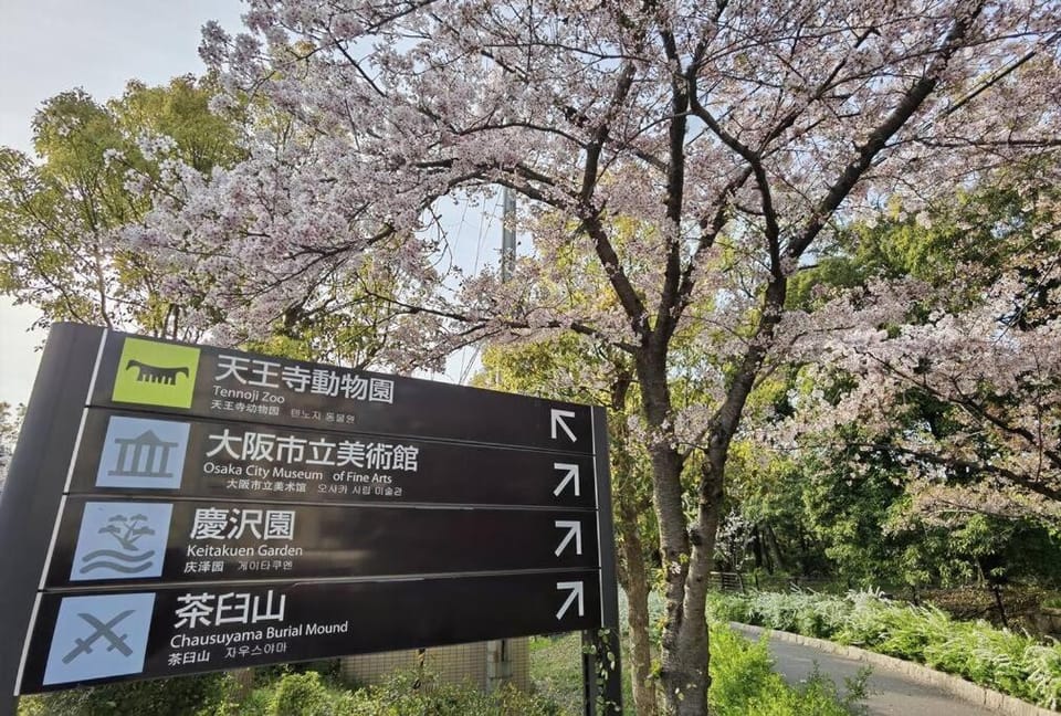 Detached house near JR & METRO Tennoji Station, Apartment in Osaka