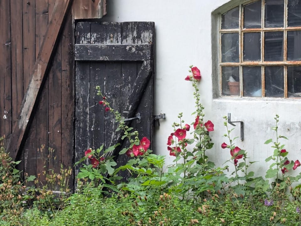 Lejlighed ved skov Apartment in Zealand