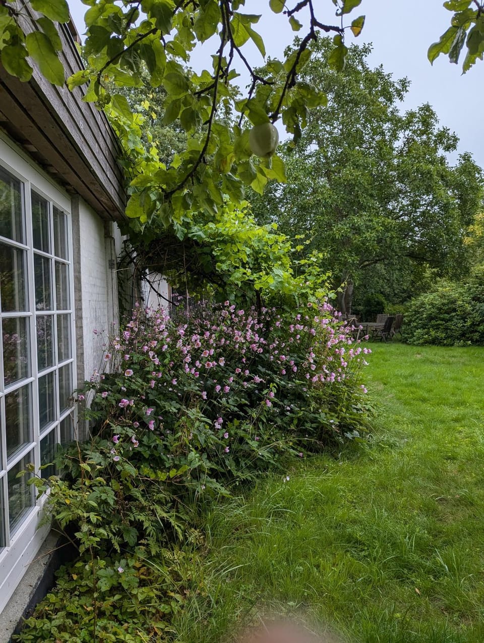 Lejlighed ved skov Apartment in Zealand