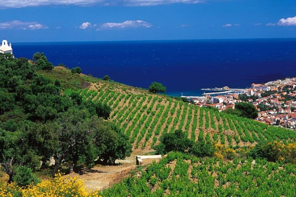 Charmant séjour au cœur des vignes de Banyuls House in Alt Empordà