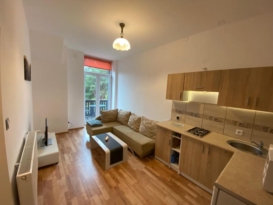 Apartament Cieplice Apartment in Lower Silesian Voivodeship