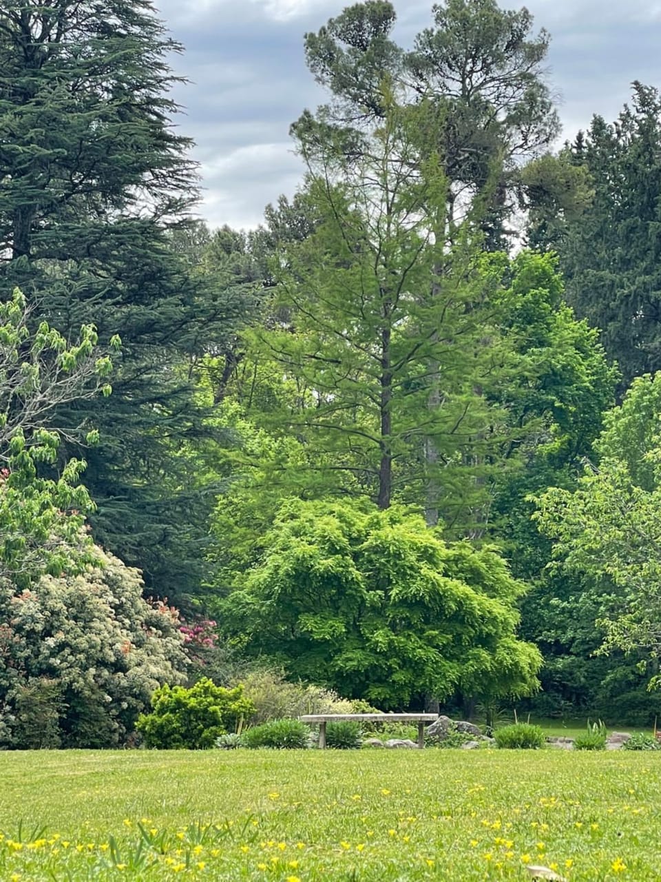 Natural landscape, Garden, Garden view