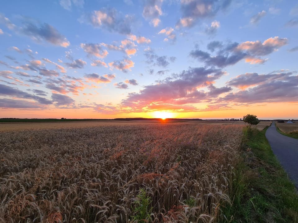 Agroturystyka Wręcza Farm Stay in Masovian Voivodeship