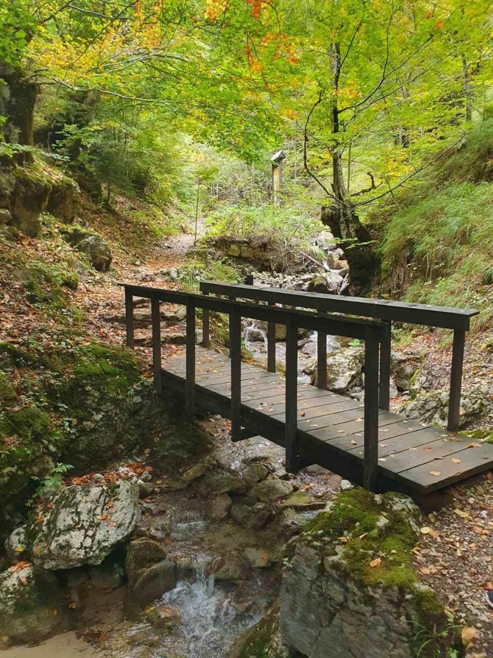 Charming House Near Hajla Peak - Rugove Villa in Europe