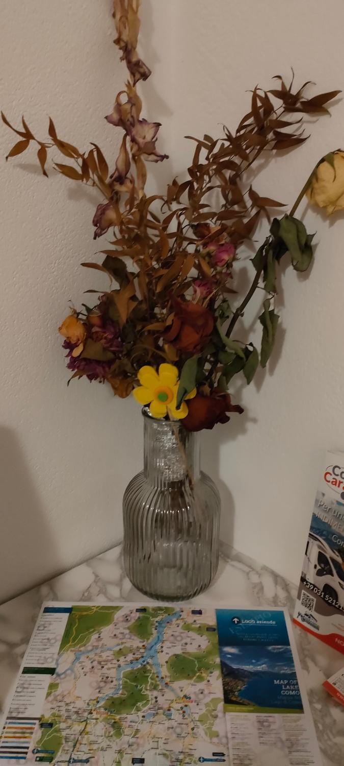 Casa Mina House in Como