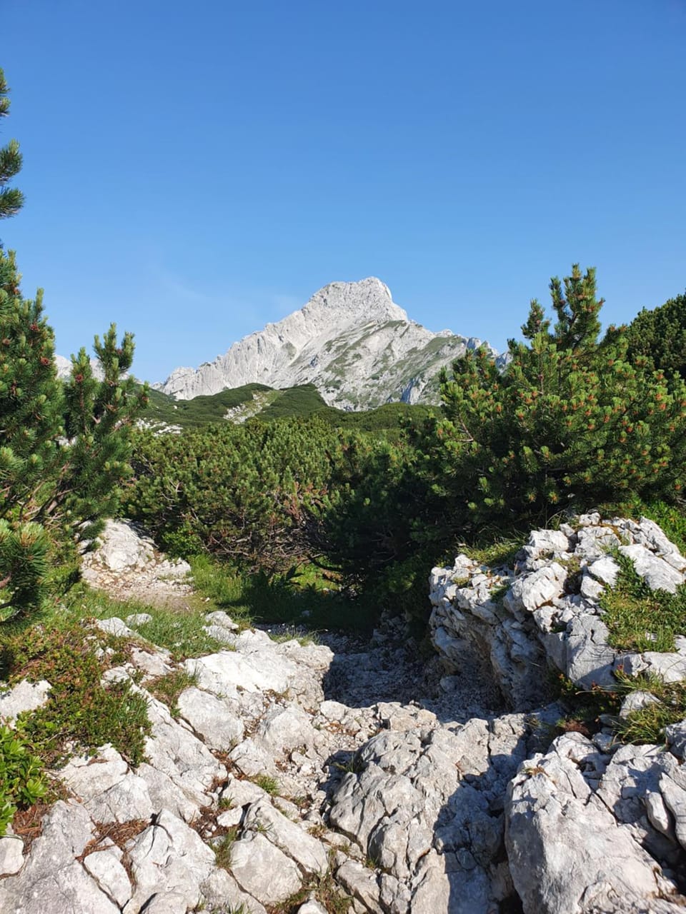 Holiday Home Prdelanca House in Slovenia
