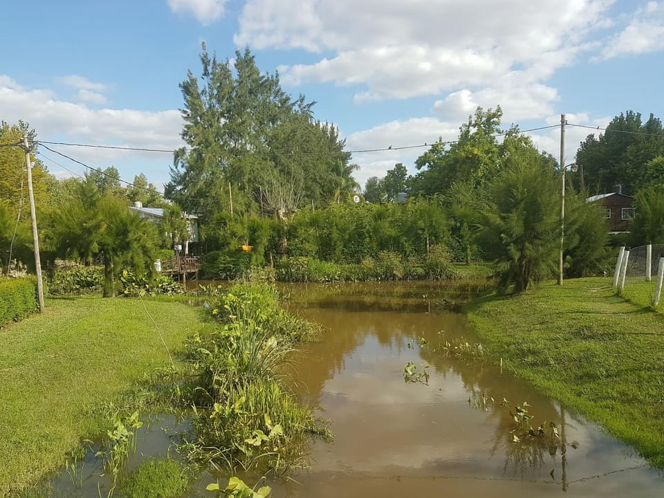 River view