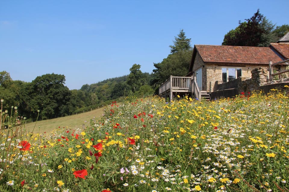 The Old Cow Byre House in East Devon District