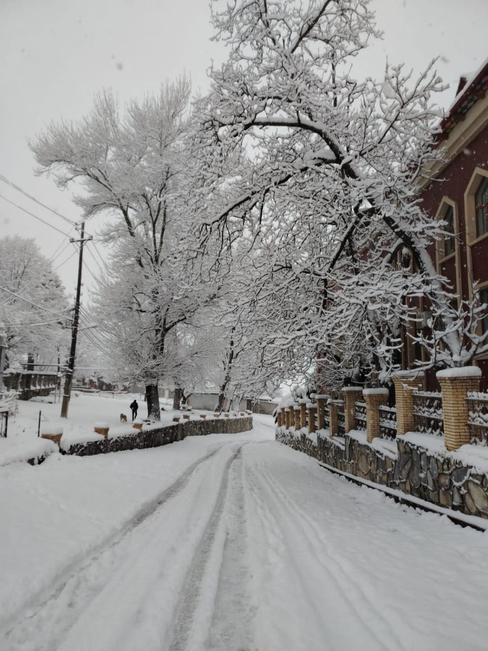 Mahmud Hostel Apartment in Azerbaijan
