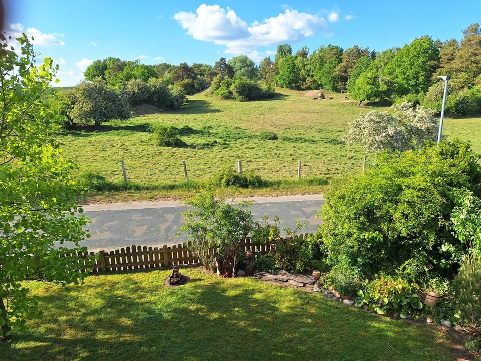 View (from property/room)