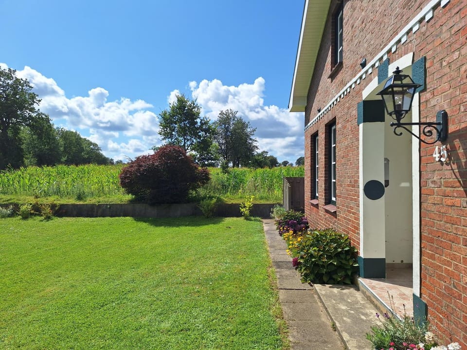 Natural landscape, Garden view