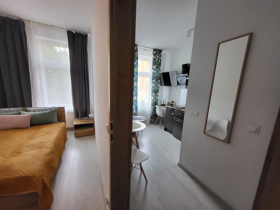 Apartament - Studio 2 Gliwice Apartment in Czechia