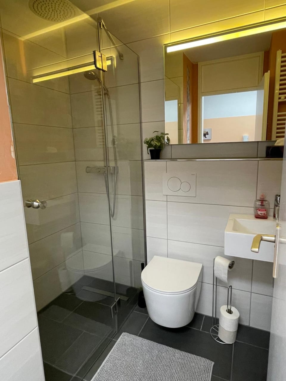 Shower, Toilet, Bathroom, towels