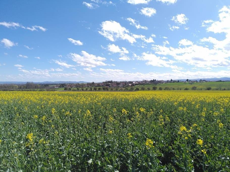 Gite bien-être pour familles, amis, stages, pros House in Auvergne-Rhône-Alpes