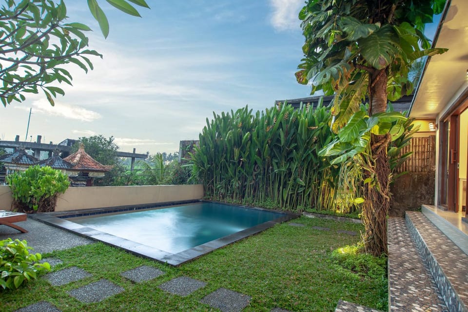 Pool view, Swimming pool