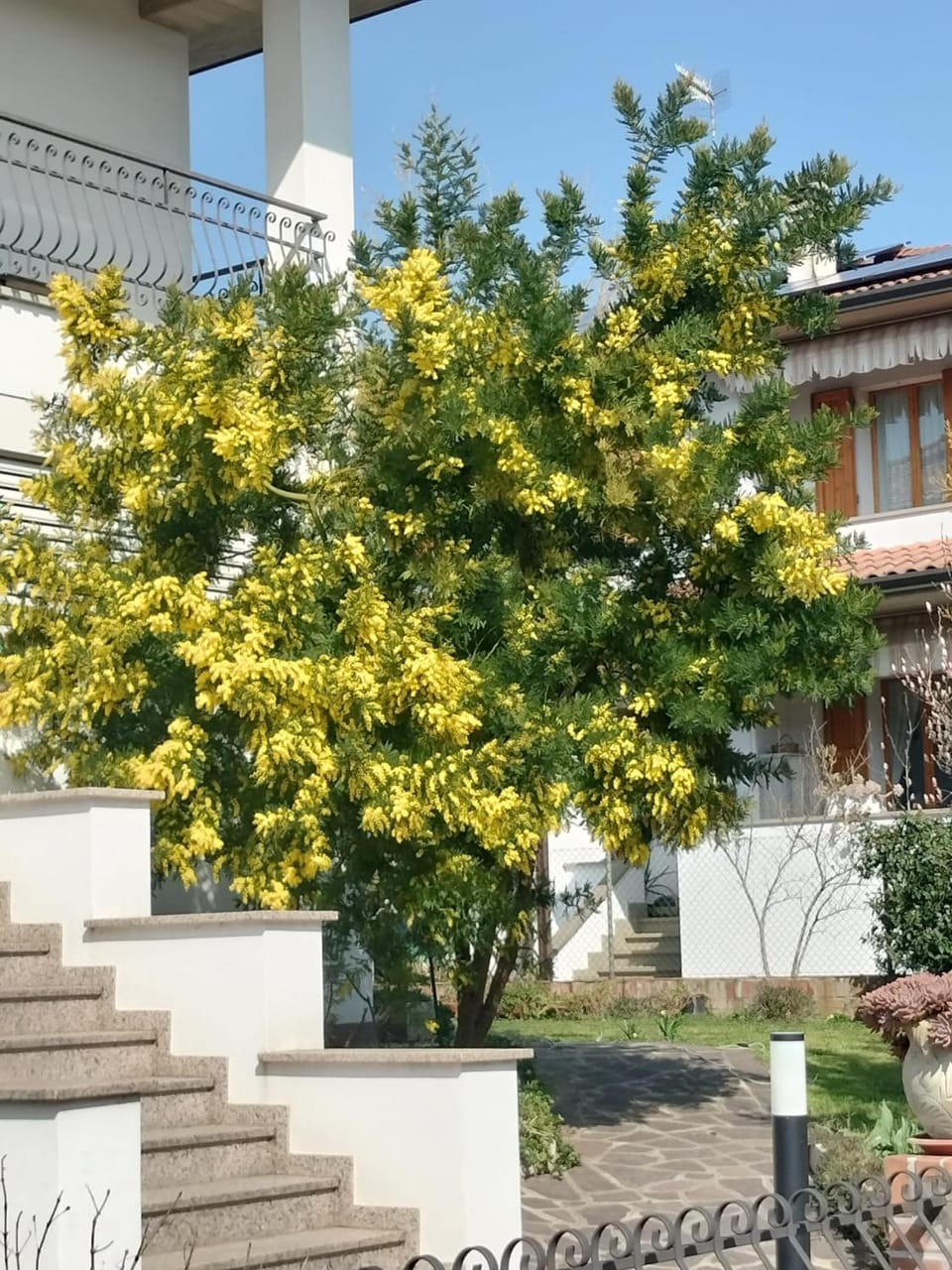 B & B Le Mimose Bed and Breakfast in Emilia-Romagna