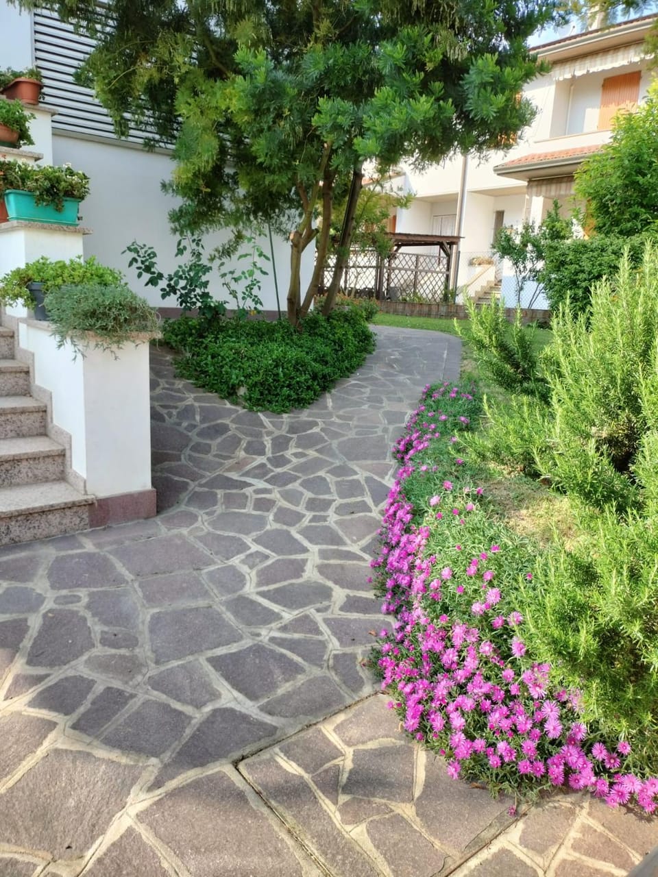 B & B Le Mimose Bed and Breakfast in Emilia-Romagna