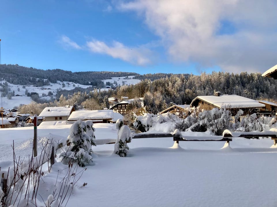 Garden, Garden, Mountain view