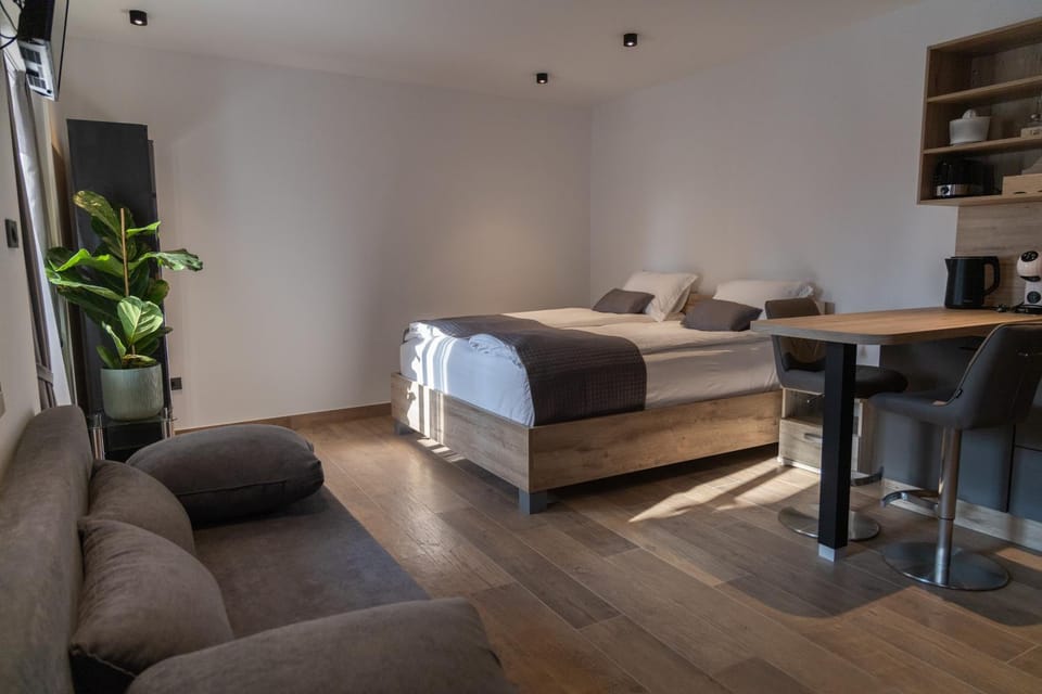 PosestvoRavbar Apartment in Slovenia