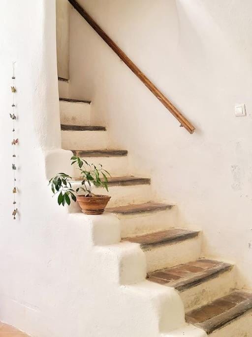 Les voûtes du vieux village House in Provence-Alpes-Côte d'Azur
