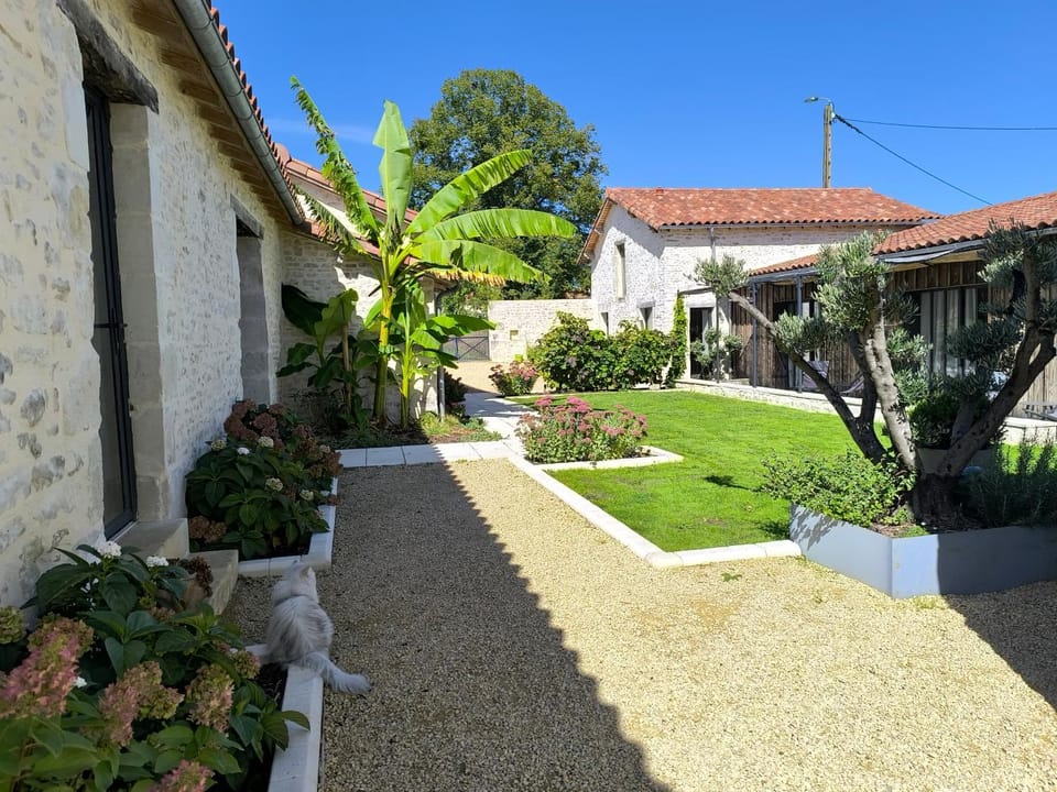 Garden, Inner courtyard view