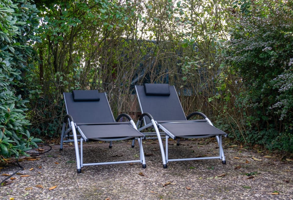 Garden, Garden view, sunbed