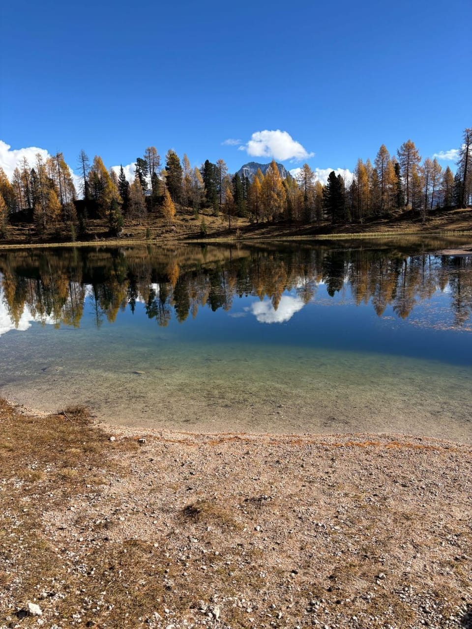 Mansarda Vale e Schena con vasca idromassaggio 4 posti letto a Cortina d'Ampezzo Apartment in San Vito di Cadore